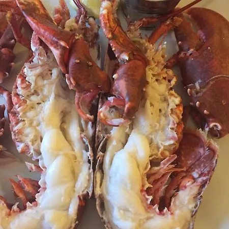 Pensjonat Ashes Seafood Restaurant Dingle