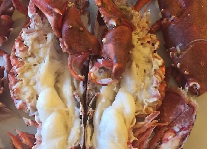 Gæstehus Ashes Seafood Restaurant Dingle